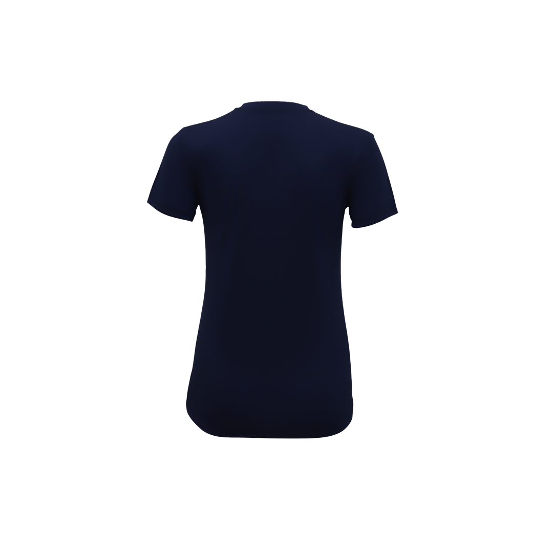 Ladies Tee